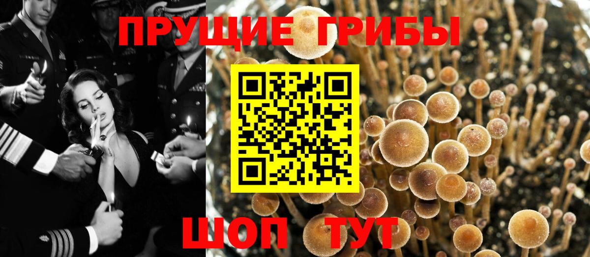 Галлюциногенные грибы MAGIC MUSHROOMS Ртищево