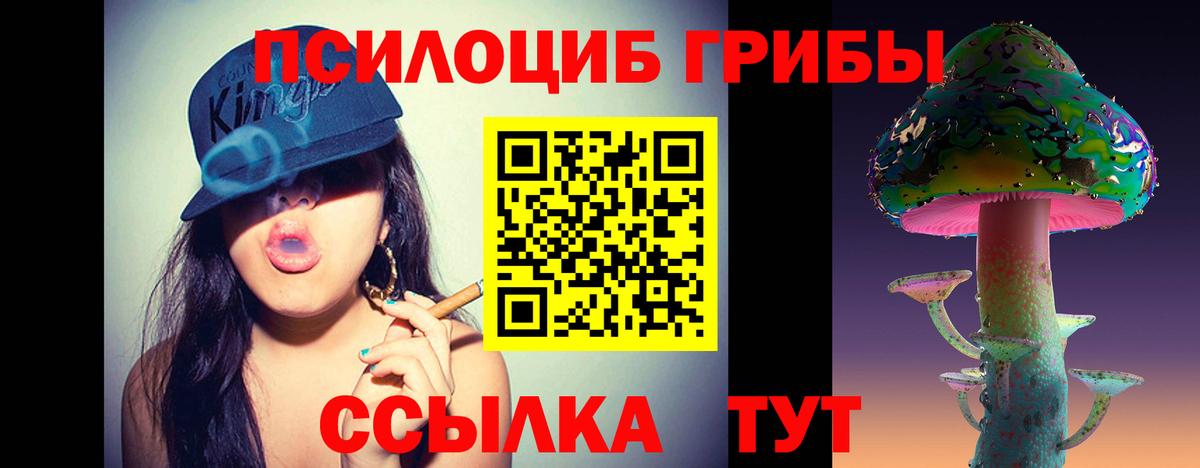 Галлюциногенные грибы мицелий  Вход с VPN  Ртищево 